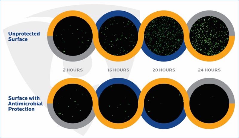 Figure 2. Survival of bacteria on unprotected and antimicrobial-protected surfaces (internal Microban study, confocal fluorescence microscopy)