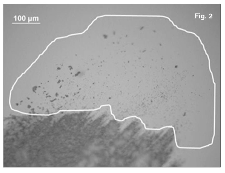 Exemplary debris field generated during frictive sliding simulation at 10 N. The area outlined in white is analysed by particle counting software 