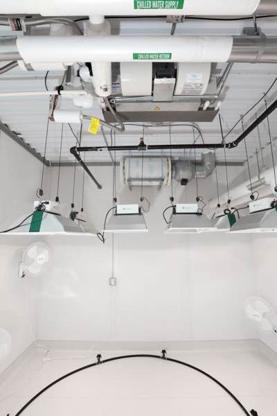Cleanable, moisture resilient wall panels are the building material of choice for cannabis cultivation rooms