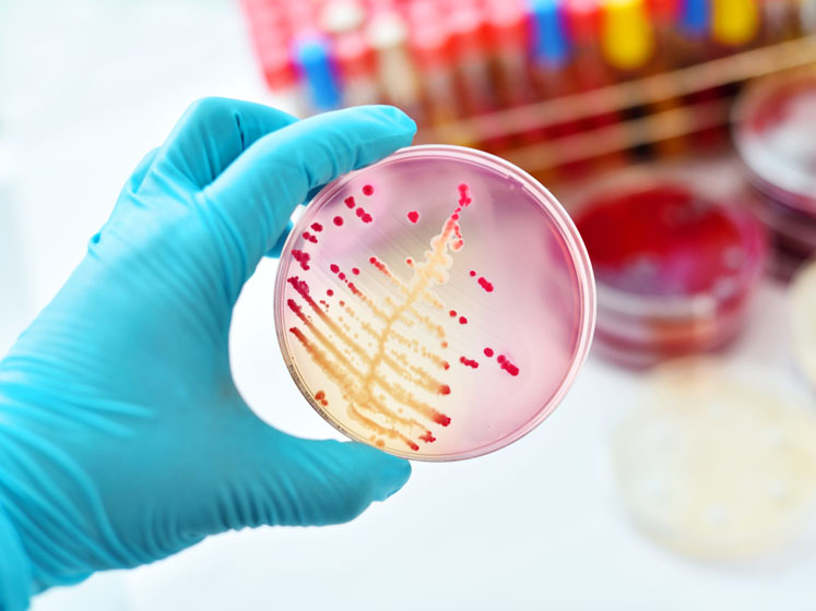 Components of an effective disinfectant prequalification strategy