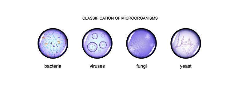 How do cleanroom active air samplers work?