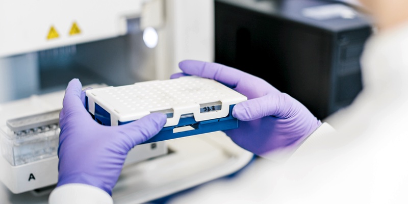 Identification methods for bacterial isolates