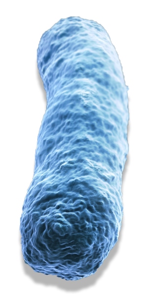 Legionella testing: Modern alternatives to the ‘gold standard’ test