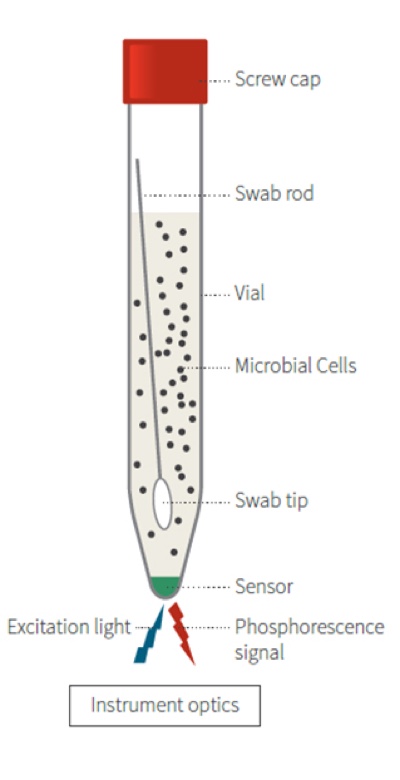 Microbial contamination: the oxygen depletion test
