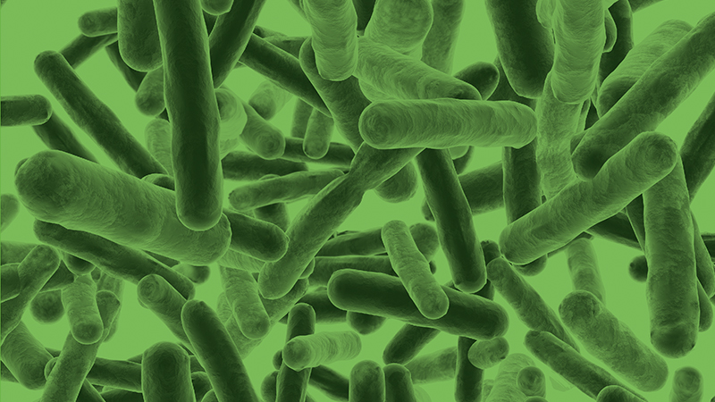 Pseudalert: A one-day test method for P. aeruginosa