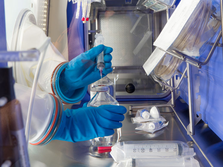 Reducing the risk of biocontamination in gene, cell and CAR-T therapy

