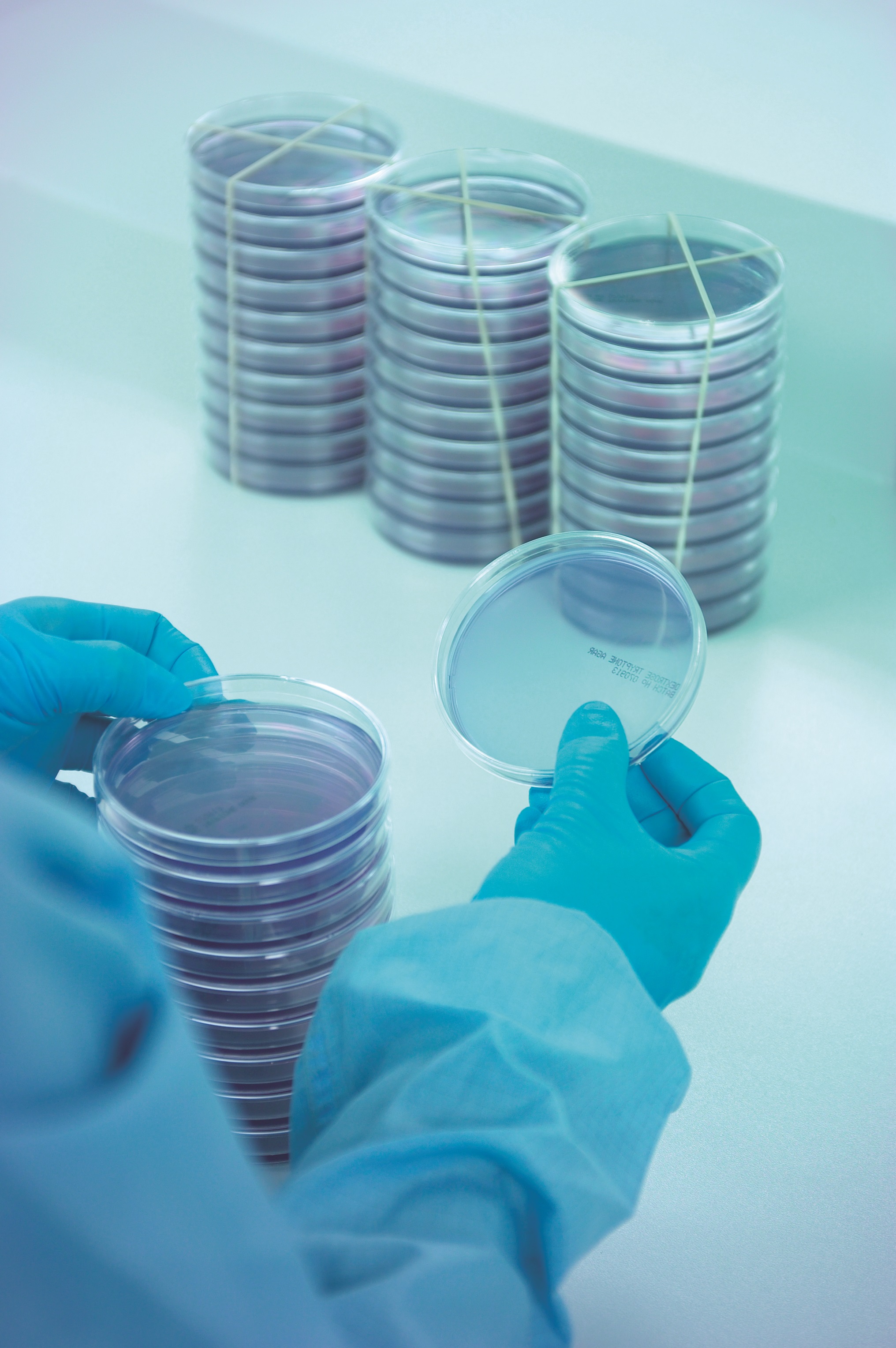 The impact of Annex 1 on environmental monitoring
