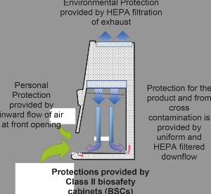 Using Class II biosafety cabinets in aseptic processing